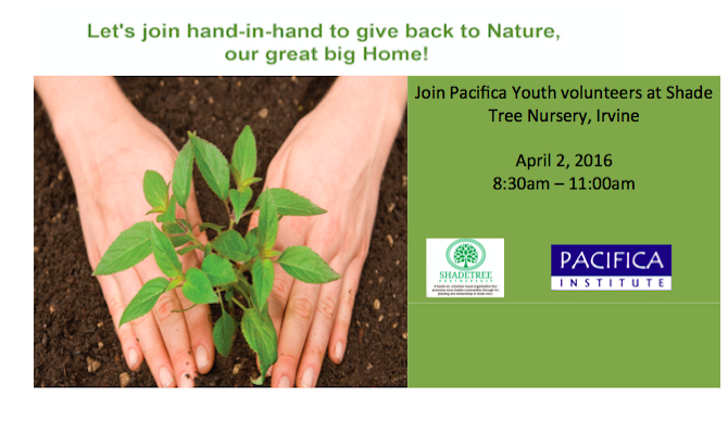 Tree Planting..